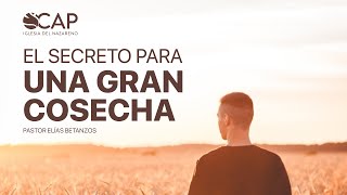 El secreto para una gran cosecha  Pastor Elías Betanzos [upl. by Bass599]