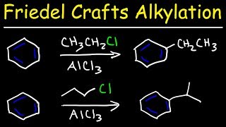 Friedel Crafts Alkylation of Benzene Reaction Mechanism  Tons of Examples [upl. by Petracca288]