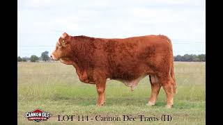 LOT 114 AGGROW ELITE BULL SALE 2024 [upl. by Eelyac300]