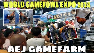 WORLD GAMEFOWL EXPO 2024  AEJ ang gaganda ng mga dalang manok sa expo  BALERIANS GAMEYARD [upl. by Melise]