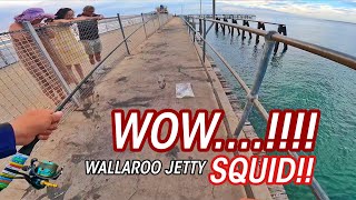 I was having conversation when this happened  Wallaroo Jetty [upl. by Golding]