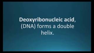 How to pronounce deoxyribonucleic acid DNA Pharmcabulary for Memorizing Pharmacology Flashcard [upl. by Arika]