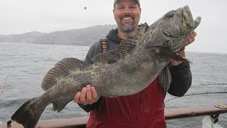 How To Catch Lingcod amp Rockfish Episode 9 [upl. by Enalahs103]