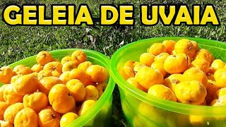 Como Fazer Geleia de Uvaia  Receita Geleia UVAIA  receita rápidas e fáceis [upl. by Fullerton]