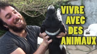 VIVRE AVEC DES ANIMAUX [upl. by Ylra]