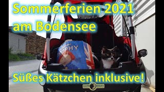 Am Bodensee mit dem Winther Cargoo und Kangaroo Luxe Katze hüpft ins Bike und will mitfahren [upl. by Lenes]