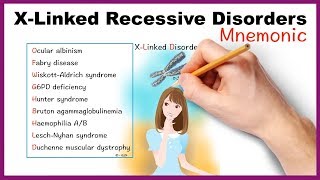 XLinked Recessive Disorders Mnemonic [upl. by Yhtak]