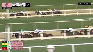 HAPPY SAVER  Federico Tesio Stakes  Laurel Park USA  792020 [upl. by Nirrep]