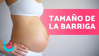 ¿Cómo va CRECIENDO la BARRIGA en el EMBARAZO 🤰🏻 Tamaño Mes a Mes ✅ [upl. by Enitnelav]