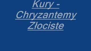 Kury  Chryzantemy Złociste [upl. by Squier]