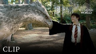 19 Years Later Scene  Harry Potter and the Deathly Hallows Part 2 HD [upl. by Rammus372]