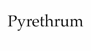 How to Pronounce Pyrethrum [upl. by Lubeck318]