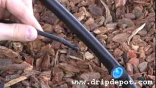 Drip Irrigation Systems How to install Pressure Compensating Button Drippers [upl. by Holton]