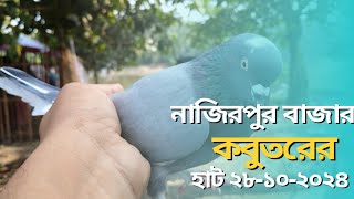 Kobutor Price  Pigeon price  Giribaz Golla Fancy kobutor er Dam [upl. by Selegna898]