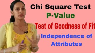 Chi Square test for Independence of Attributes Concept and Solved Numerical [upl. by Jewett907]