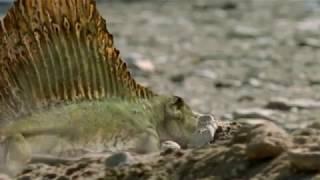 Walking with Monsters  Baby Dimetrodon rush [upl. by Halak]