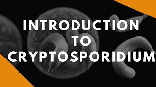 Introduction to Cryptosporidium [upl. by Akinnor]