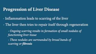 Liver Disease  Fibrosis [upl. by Jillayne]