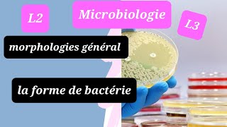 les bactéries 💯 L2L3 microbiologie de snv résumé morphologies général et la forme de bactérie [upl. by Mortensen]