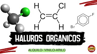 INTRODUCCION Y CLASIFICACION DE LOS HALUROS ORGANICOS ALQUILO VINILO Y ARILO [upl. by Dunston953]