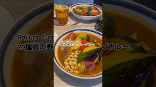 【下北カレー】下北沢のスープカレーまた行きたい🥦🥕🍛下北沢グルメ 下北沢 スープカレー 下北グルメ東京グルメ tokyo 東京ランチ [upl. by Favin344]