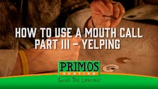 How to Use a Mouth Turkey Call Part III  Yelping [upl. by Dunstan]