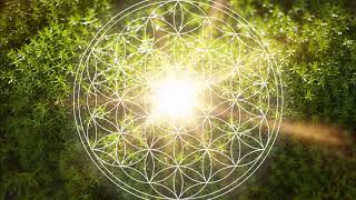 528 Hz Heart Chakra Regeneration  Repair amp Heal The Heart Chakra  Open amp Balance ANAHATA Chakra [upl. by Trisa160]