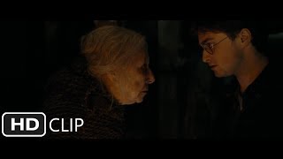 Godrics Hollow Part 2  Harry Potter and the Deathly Hallows Part 1 [upl. by Sitoel]