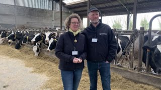 La ferme laitière Vandecandelaere dans les Flandres Belgique [upl. by Neerom]