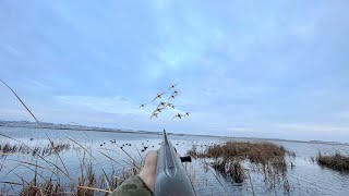 DUCK HUNTING a HIDDEN LAKE Loaded with MALLARDS DRAKE LIMIT [upl. by Raybin]