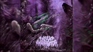 Infant Annihilator  Soil the Stillborn Album Version NEW 2016 w LYRICS [upl. by Malissia491]