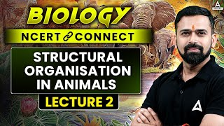 Structural Organisation in Animals Class 11 NEET 2025  Biology NCERT CONNECT Series  Vishal Sir [upl. by Kasevich]