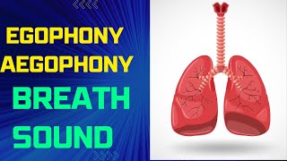 Egophony  Aegophony Breath sound  egophony lung sound [upl. by Gnivre]