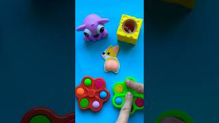 Great Squishy Corgi Work 🤩🤣😵‍💫 satisfying great squishy baby corgi funny shorts [upl. by Tnarud]