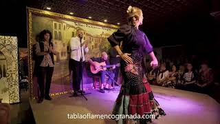 Espectáculos de Flamenco en Granada  Tablao Albayzin [upl. by Eiuqram]