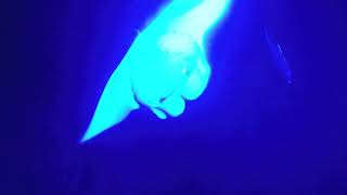 Manta Ray Night Swim Keauhou Bay Hawaii Sea Quest Adventures [upl. by Leumel]