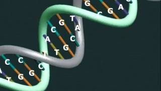 Information embedded in DNA Proves The Existence of God [upl. by Annawt]