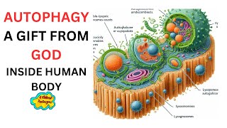 Autophagy  A God Given Gift Inside Human Body Talk 22 [upl. by Hultgren]