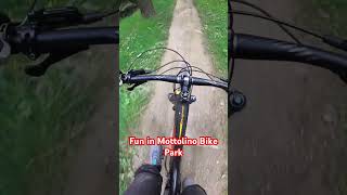 Fun in Mottolino Bike Park [upl. by Hayidan736]