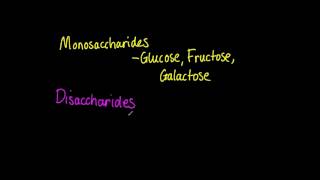 323 List three examples each of monosaccharides disaccharides and polysaccharides [upl. by Ramsdell587]