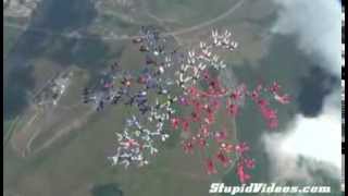 【スゴ技quotStuntquot】101人でスカイダイビング！101 Skydivers [upl. by Aihsiyt]