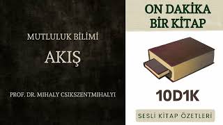 Akış  Mutluluk Bilimi  Sesli Kitap Özeti [upl. by Clemmy]