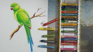 How to draw a parrot step by step with oil pastel [upl. by Chew]