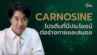 Carnosine โปรตีนที่มีประโยชน์ต่อร่างกายและสมอง [upl. by Azal]