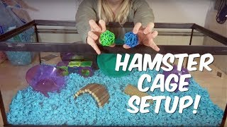 HOW TO SET UP A HAMSTER CAGE [upl. by Veda433]