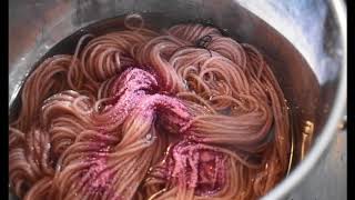 Magic with Brazilwood Natural dyeing [upl. by Gloria]