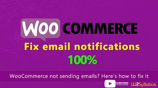 How to Fix the WordPress Not Sending Email Issue [upl. by Cass]