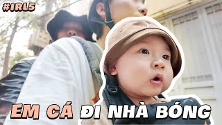 IRL Stream 5 Cùng gia đình đi khu vui chơi và biểu cảm cực Cute của em Cá [upl. by Irrok]