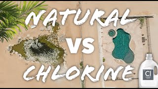 Natural Pools BEFORE AND AFTER Biological Filtration Swim Ponds VS Chlorine Pools [upl. by Relluf588]