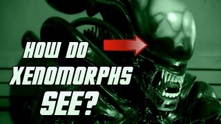 How Do Xenomorphs See  Explained [upl. by Catharine390]